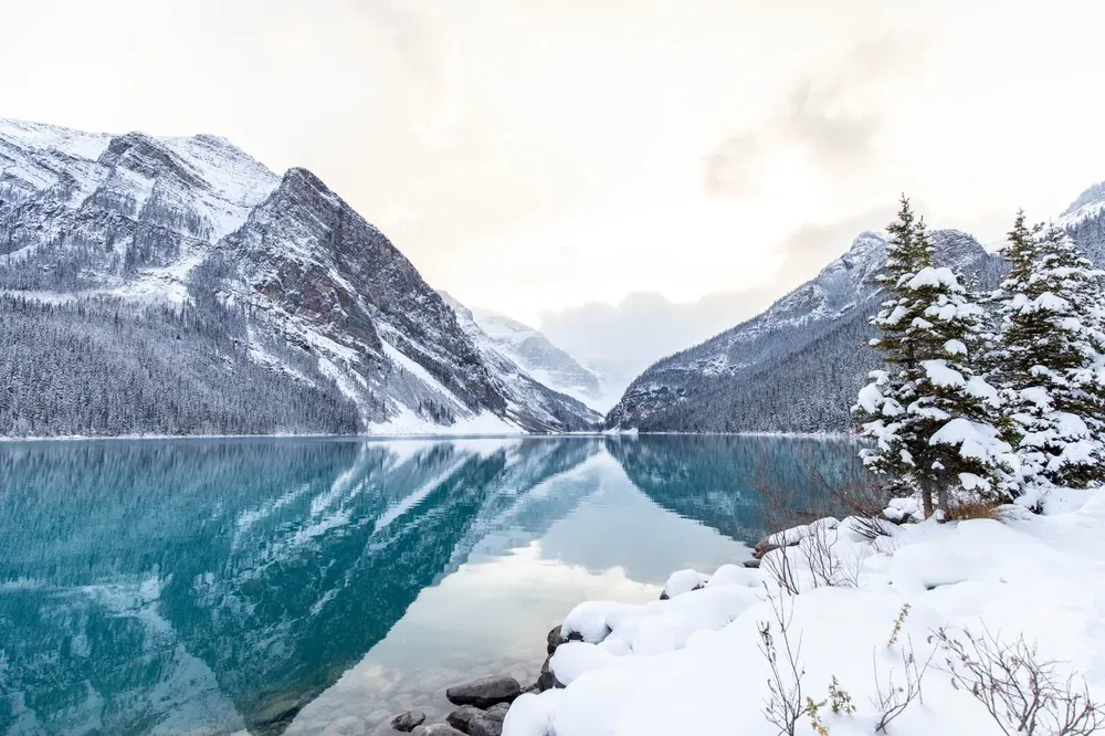 Lake Louise Snomad.jpg.webp