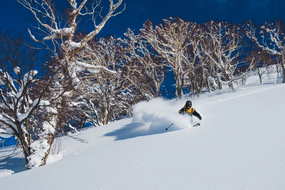 Niseko Japan.jpg.webp