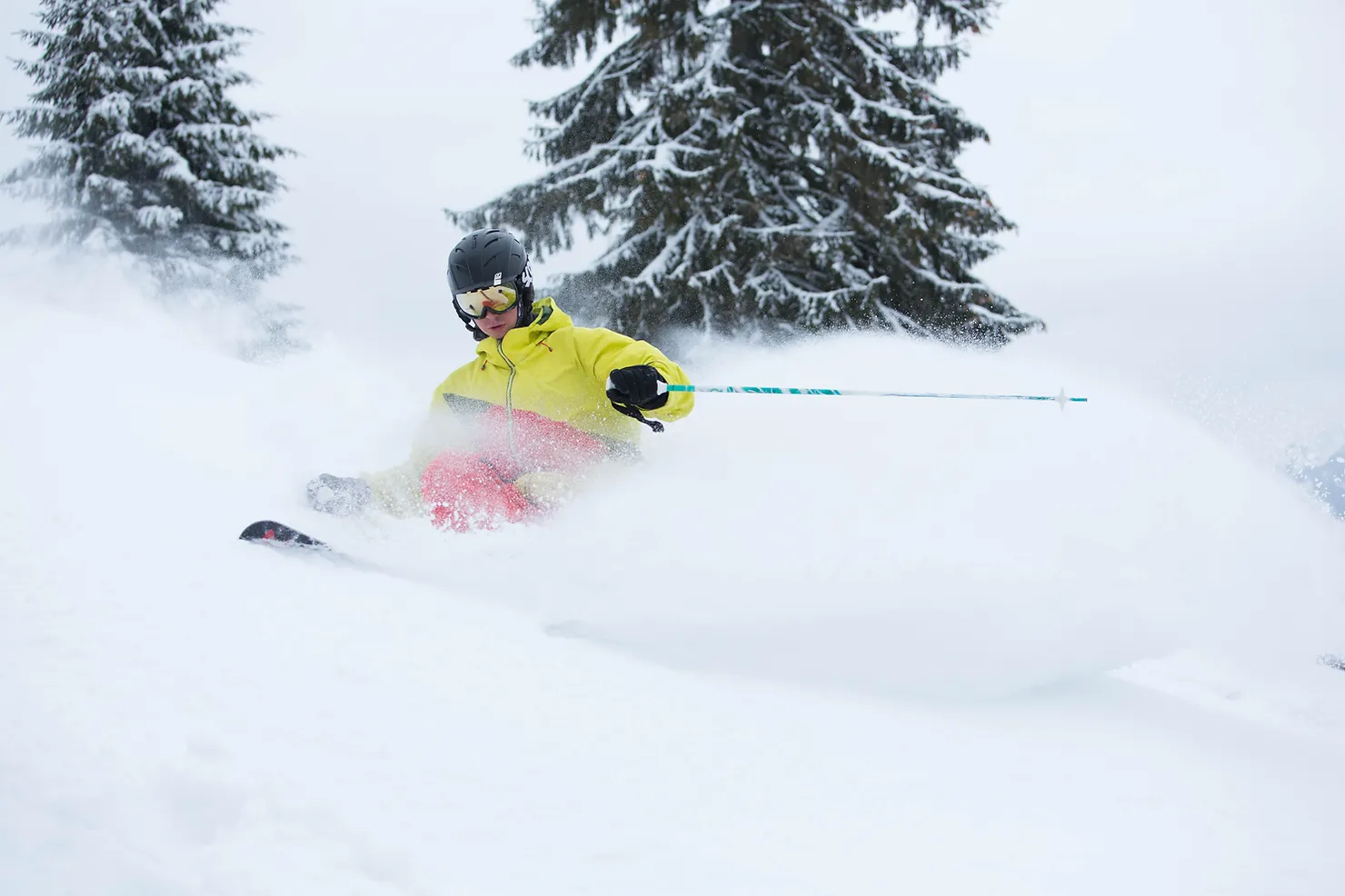 Powder Skiing Snomad.webp